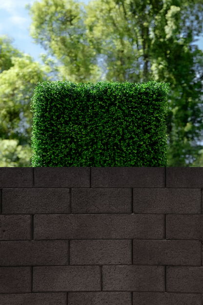 The Haven Luxe Privacy Hedge