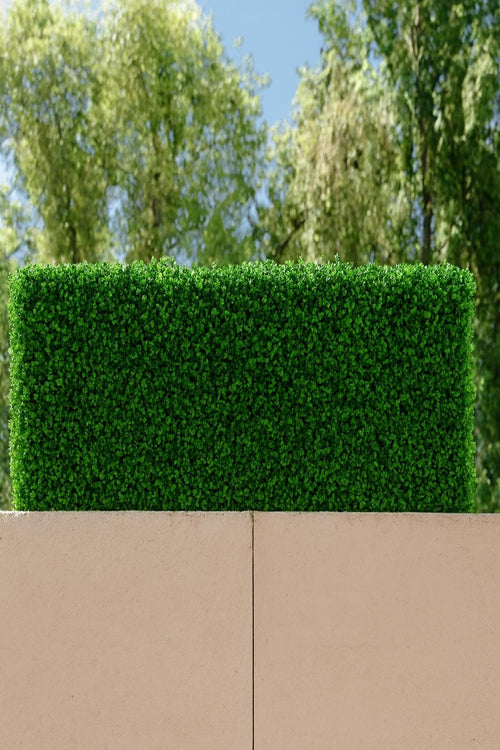 The Haven Luxe Privacy Hedge