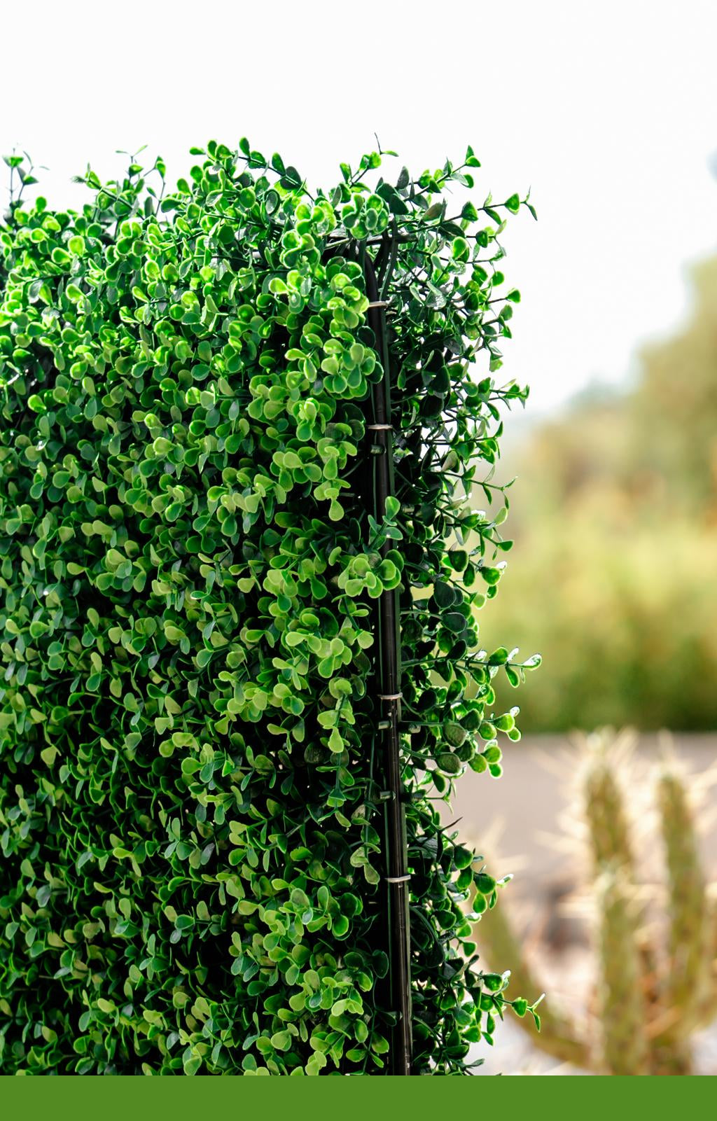 The Haven Luxe Privacy Hedge