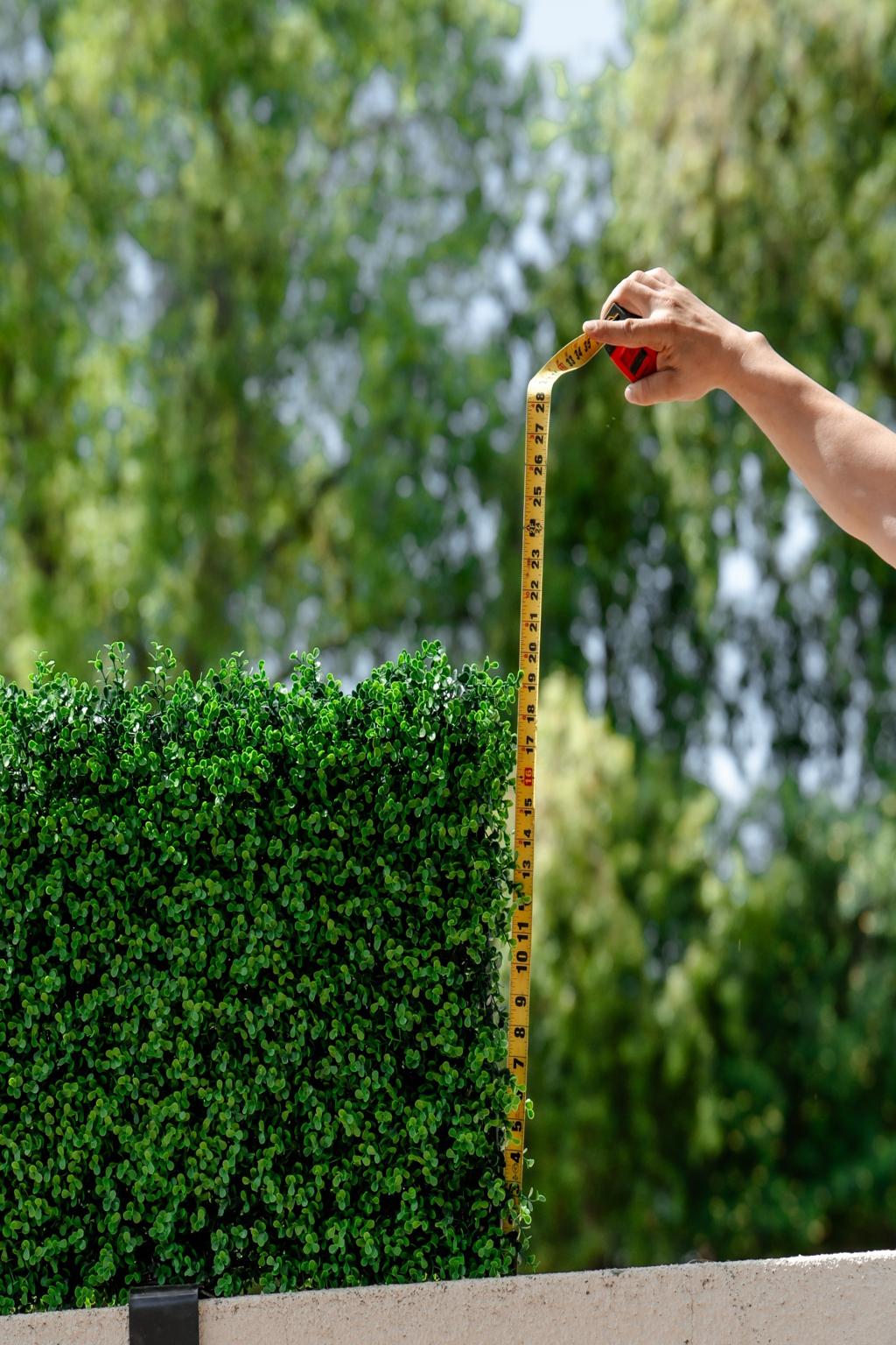 The Haven Luxe Privacy Hedge