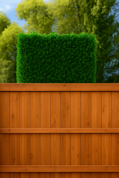 The Haven Luxe Privacy Hedge